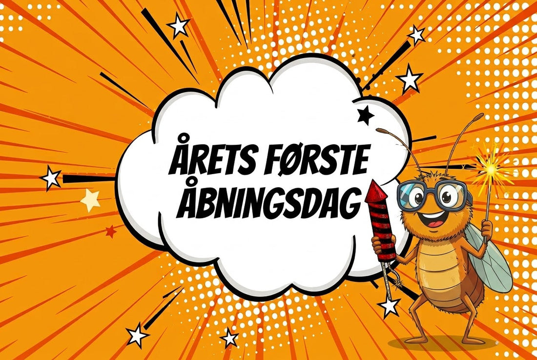 Årets første åbningsdag: Fyrværkeri i Skive